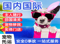 阿拉善航空物流国际宠物托运 【国